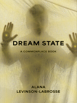 cover image of Dream State
